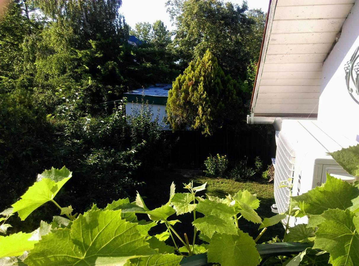 Fesztivál Nyaralóház Zamárdi Esterno foto